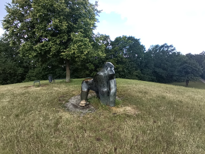 Blackview BV 9200 - Originalaufnahmen 