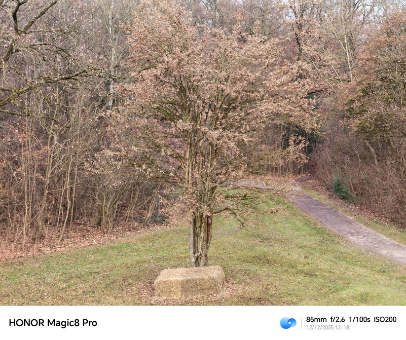 Honor Magic 8 Pro - Originalaufnahmen 