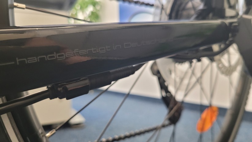 Diamant 365: Leicht, gut verarbeitet, 9-Gang-Schaltung, begrenzte Reichweite