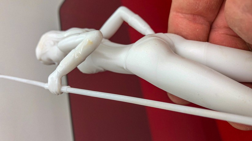 Druckergebnisse Elegoo Saturn S