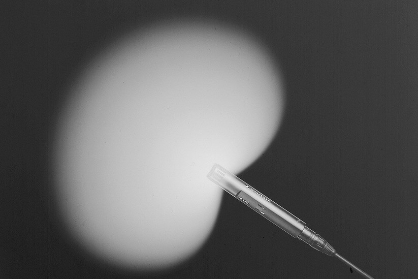 Ein Mikrofon mit Nierencharakterisik nimmt breit von vorne auf und fängt wenig Raumreflexionen ein. 