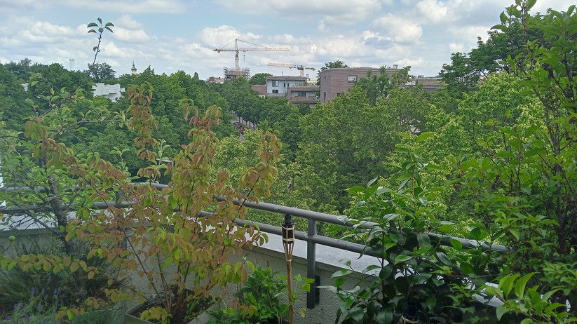 Fotos des Nokia G10