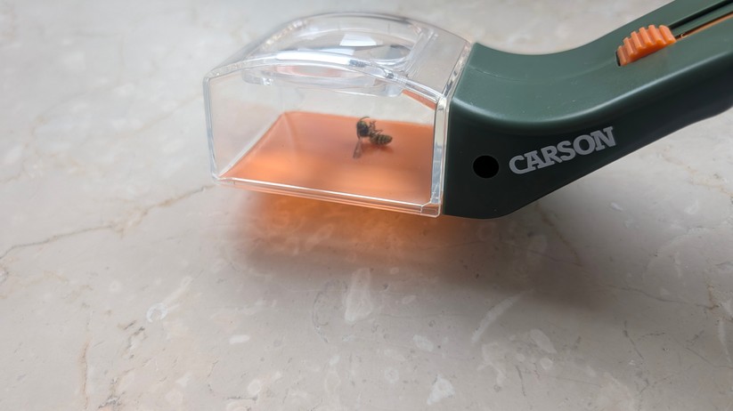 Carson HU-10 Bugview – Bilderstrecke