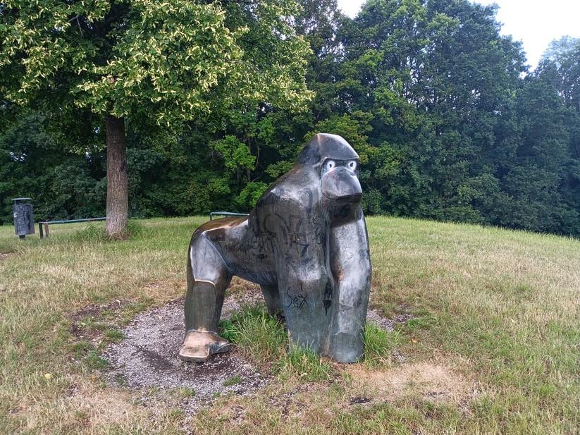 Blackview BV 9200 - Originalaufnahmen 