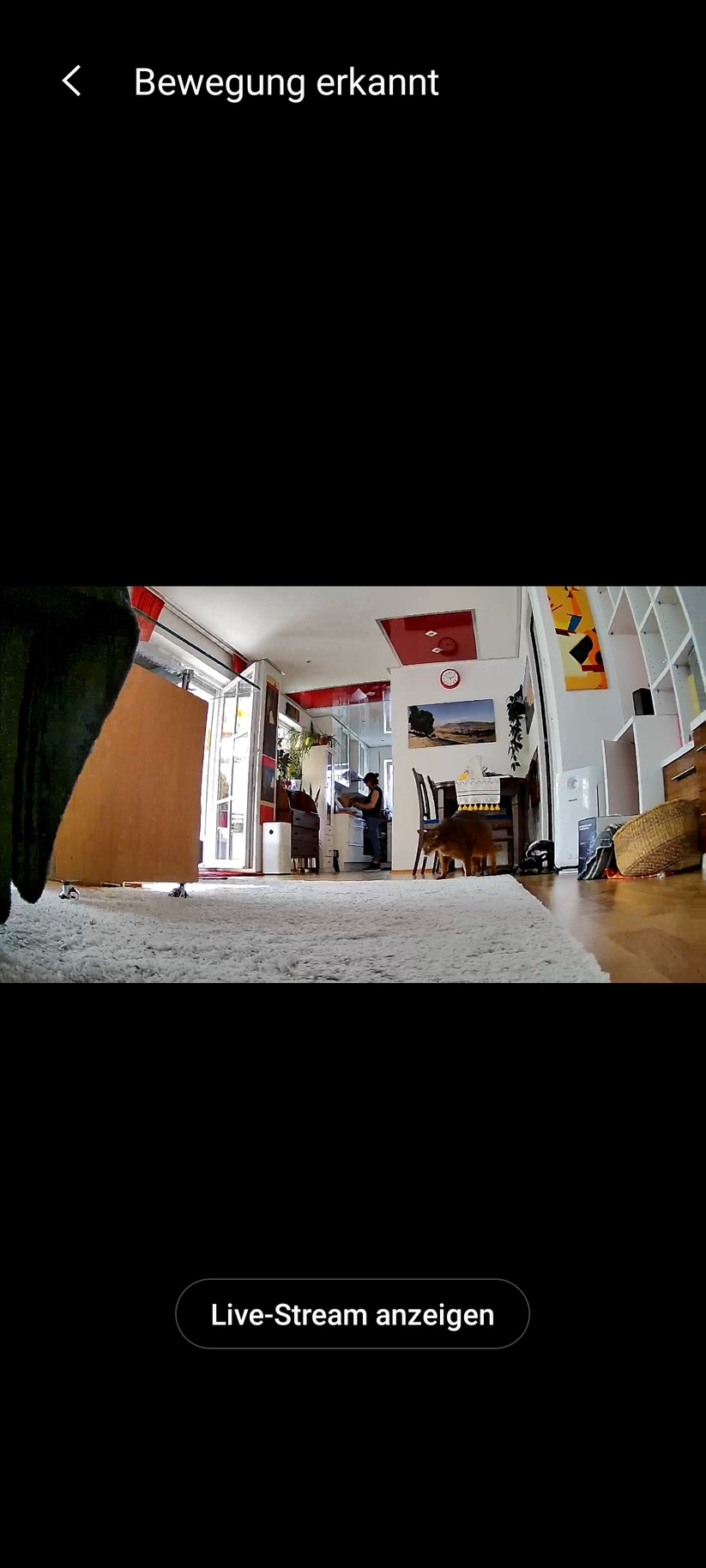 Aeotec Cam 360