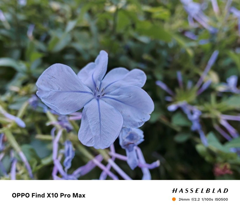 Oppo Find X10 Pro Max