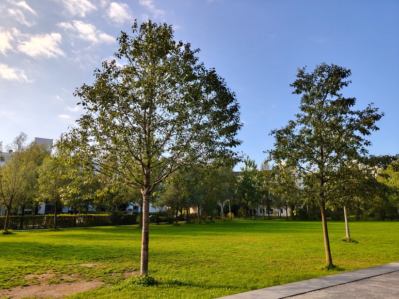 Realme 14 Pro+ 5G - Originalaufnahmen