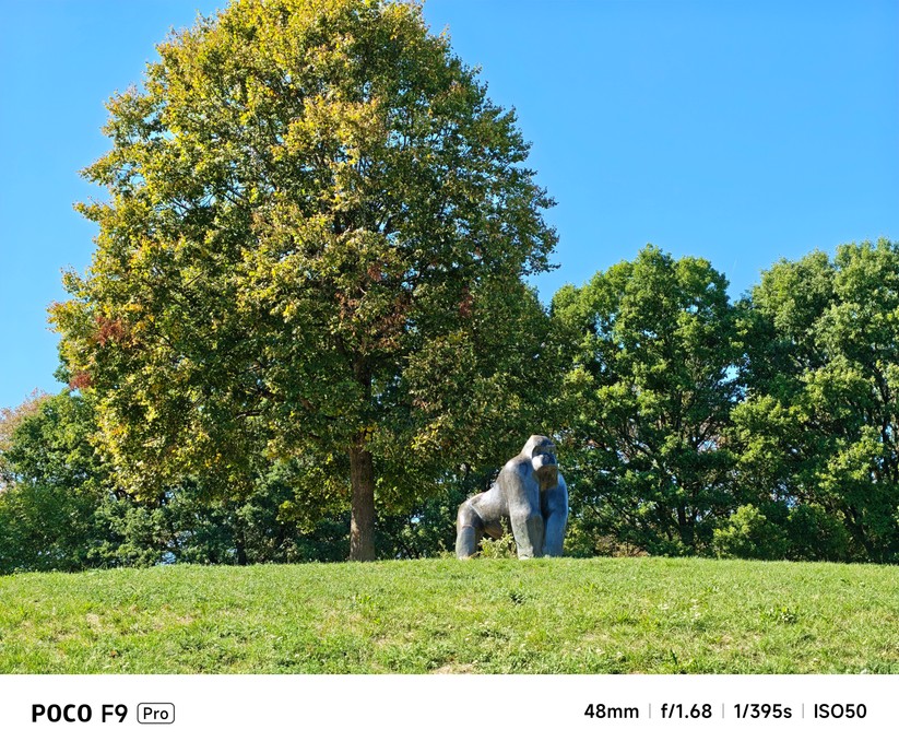 Xiaomi Poco F9 Pro: Hauptkamera mit 2x Zoom