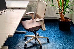 Kippfunktion statt Keilkissen: Ofinto Ergonomischer Bürostuhl Active im Test