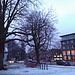 Testfoto geschossen mit einem HTC 7 Trophy | BestBoyZ