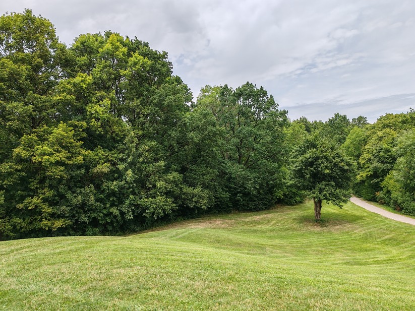 Honor 90 - Originalaufnahmen 