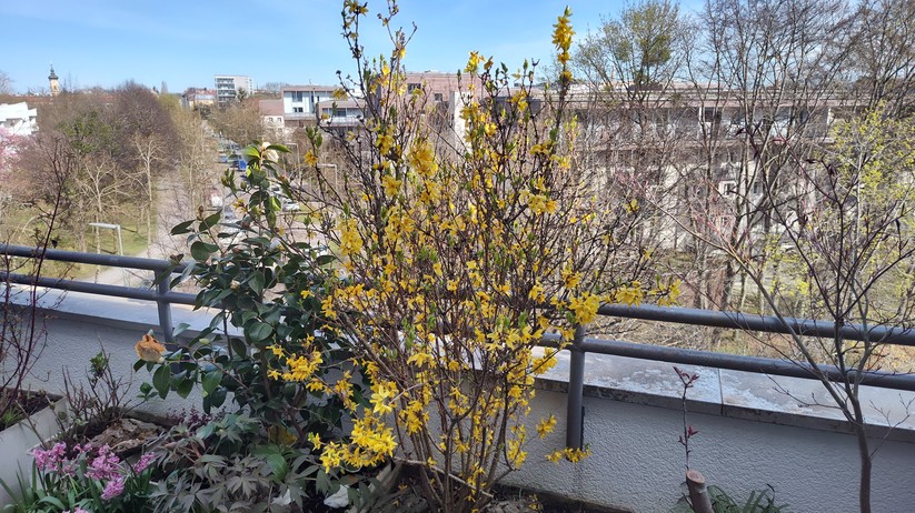 Motorola Edge 30 Pro - Originalaufnahmen