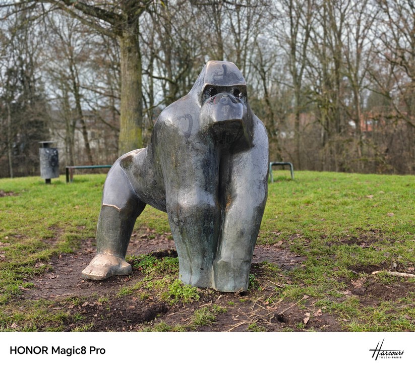 Honor Magic 8 Pro - Originalaufnahmen 