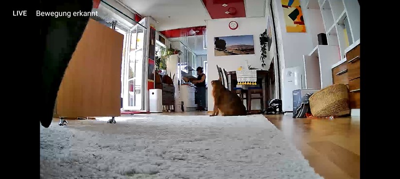 Aeotec Cam 360