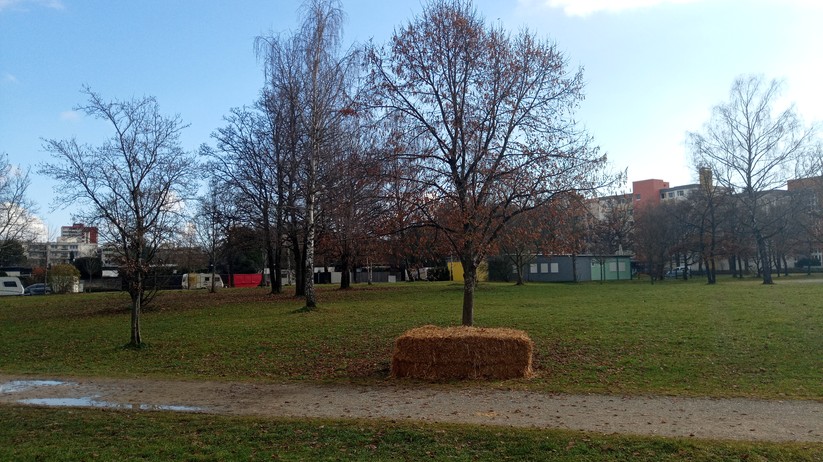 Blackview BV7100 - Originalaufnahmen