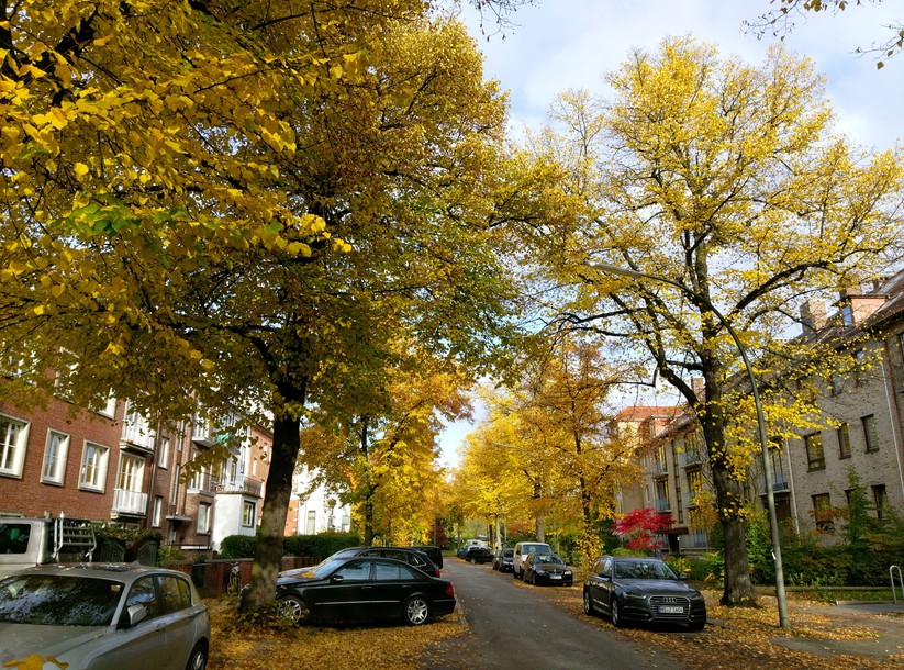 Kamerabilder: HTC One A9 (day light)