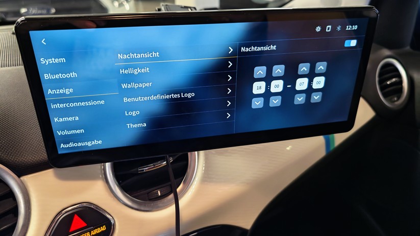 Carpodgo T4 Plus: Einstellungen