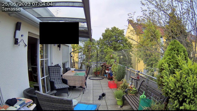 Synology BC500: Beispielbilder Vogel