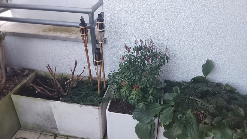 Samsung Galaxy Tab S7 FE