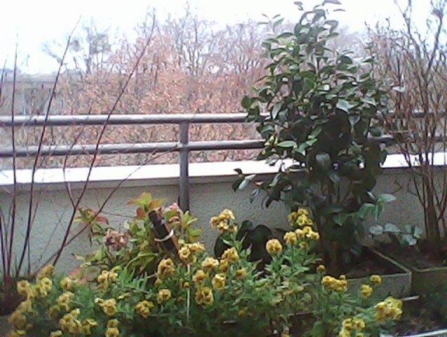 Nokia 8210 4G - Foto