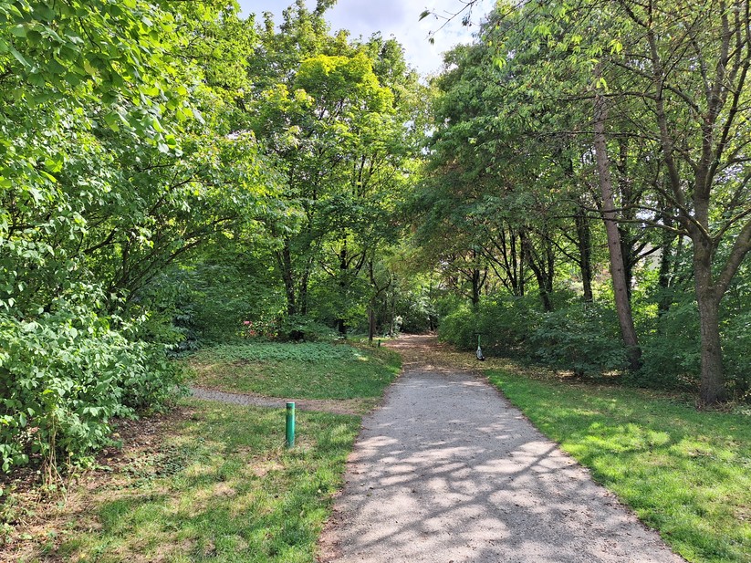 Samsung Galaxy A54 - Originalaufnahmen 