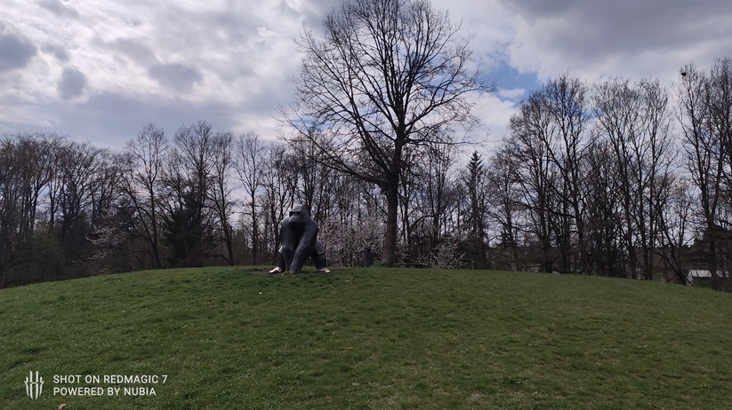 Nubia RedMagic 7 - Originalaufnahmen