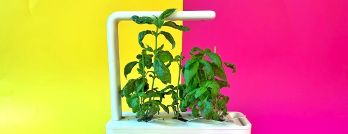 Click&Grow 3 im Test: Smarter Garten mit dummer App
