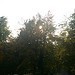 Testfoto geschossen mit einem Sony Ericsson Xperia pro | BestBoyZ