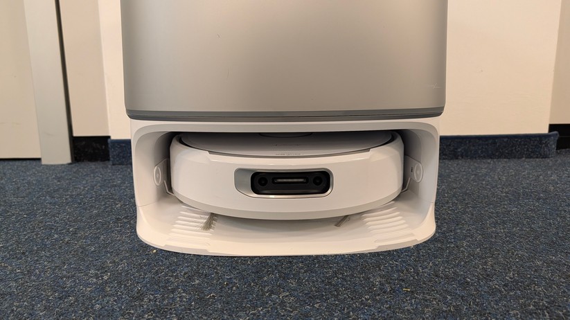 Narwal Flow – Bilderstrecke