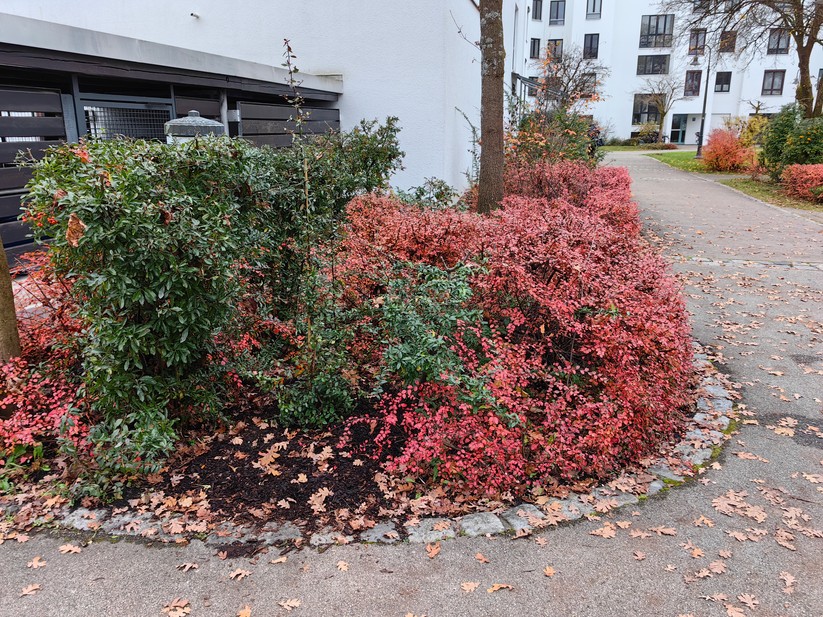 Huawei Mate 50 Pro - Originalaufnahmen