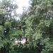 Testfoto geschossen mit einem HTC ChaCha | BestBoyZ