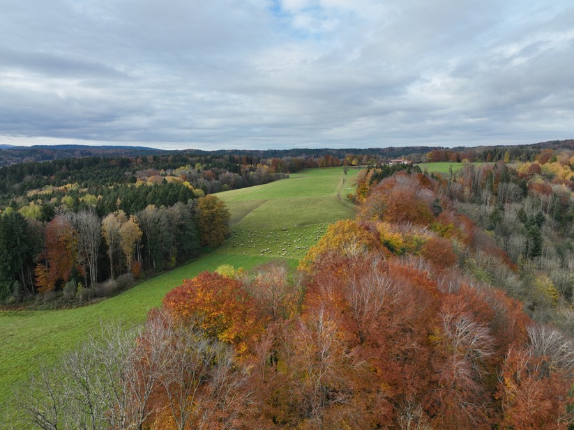DJI Mavic 3 Testaufnahme