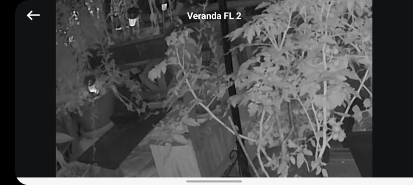 Eufy Floodlight Cam (Full-HD): Zoom bei Nachtsicht