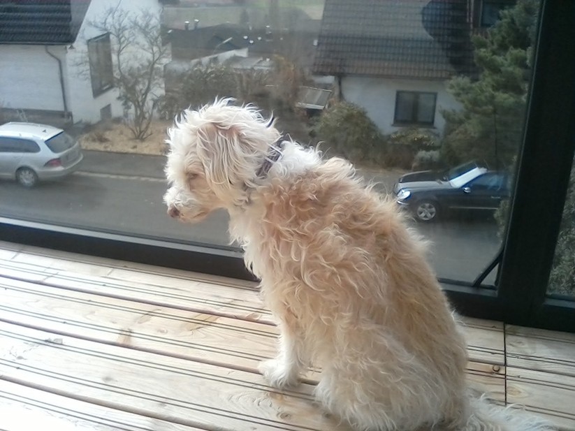 Chuwi Hi10 Pro - Testfotos