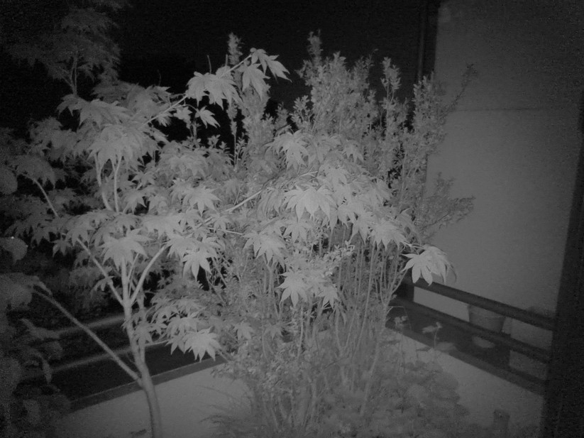 Blackview Xplore 2 - Originalaufnahmen