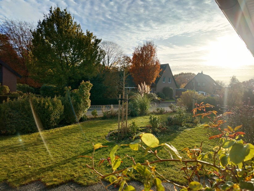 Sony Xperia 10 VII - Originalaufnahmen