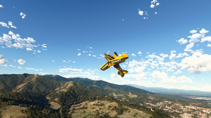 Microsoft Flight Simulator