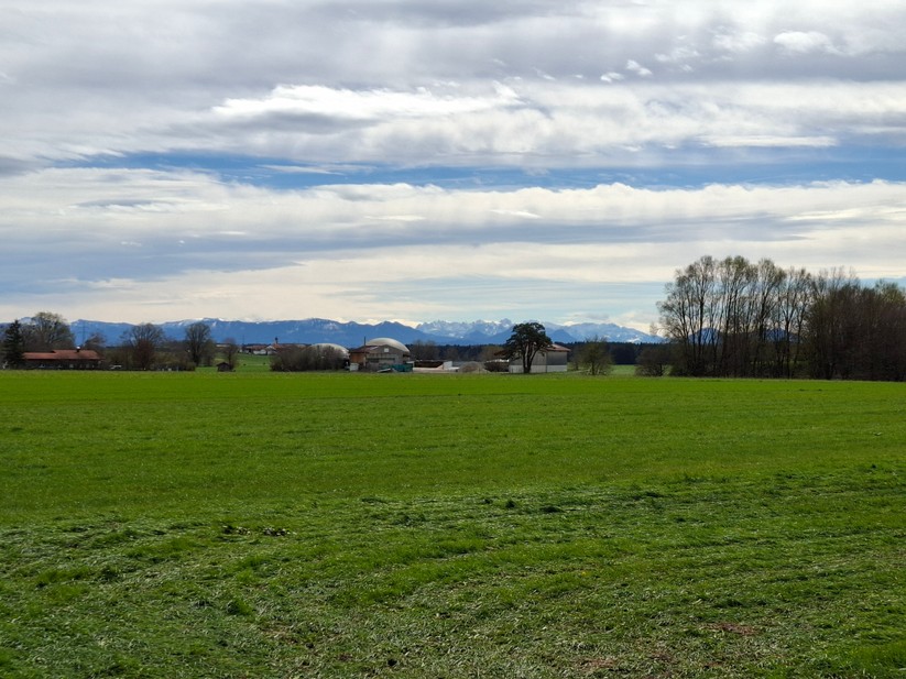 Samsung Galaxy A55 – Originalaufnahmen