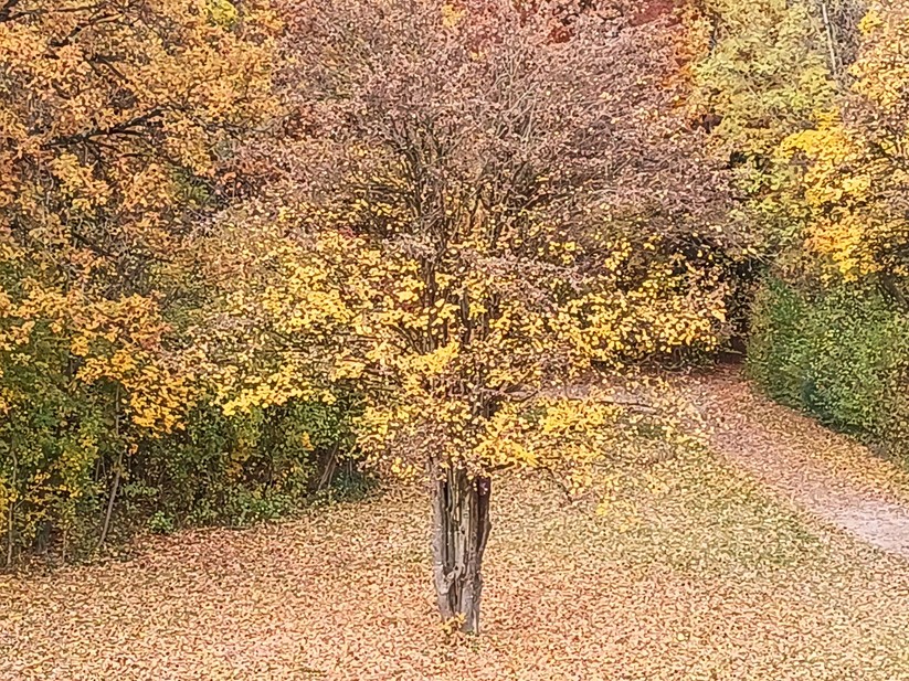 Oscal Tank 1 - Originalaufnahmen 