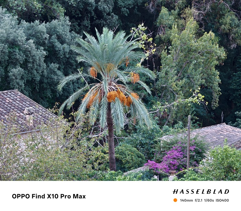 Oppo Find X10 Pro Max