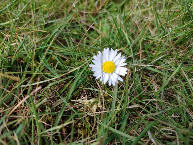 Xiaomi Redmi Note 10 Pro