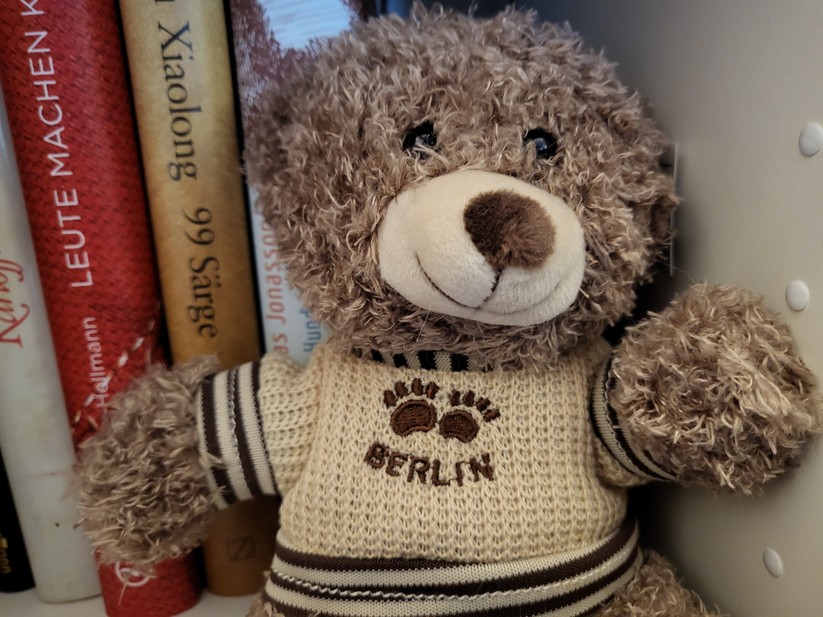 Samsung Galaxy Z Flip 3 5G