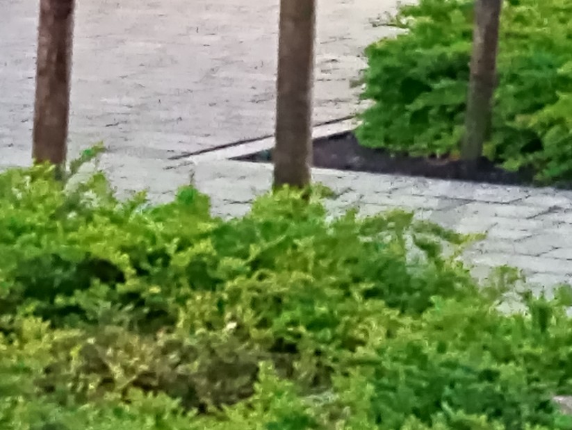 Motorola Moto G13 - Originalaufnahmen 