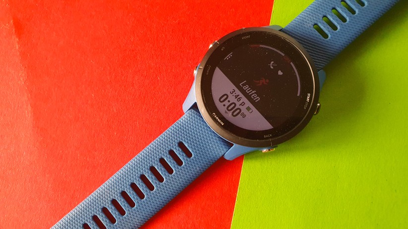Garmin Forerunner 255