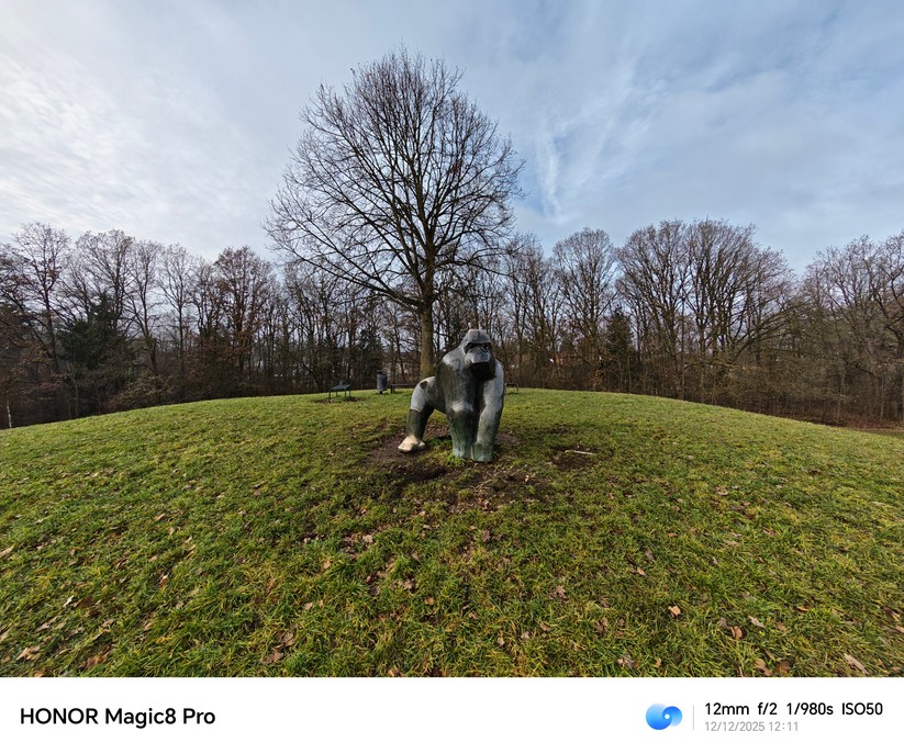 Honor Magic 8 Pro - Originalaufnahmen 