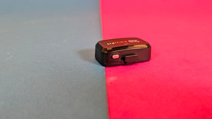 Pawfit Lite – Bilderstrecke