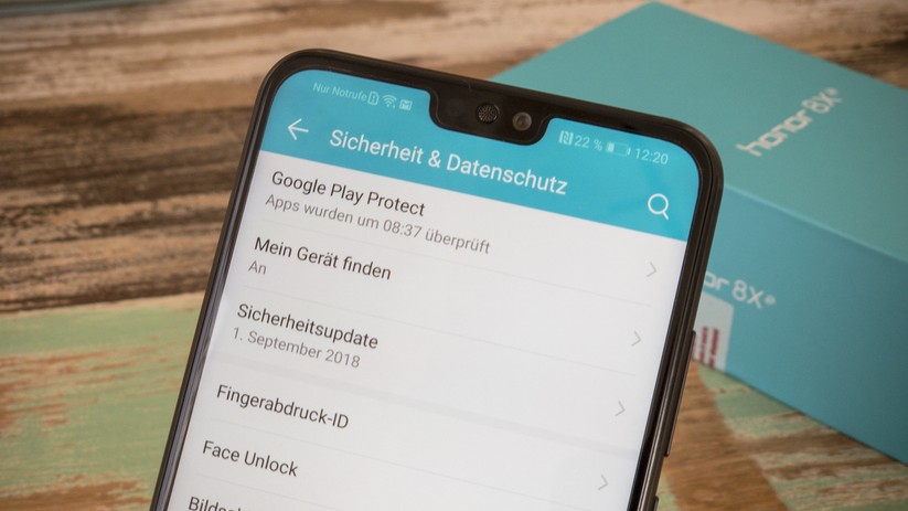 6,5 Zoll großes Display mit einer Einkerbung in der Mitte.