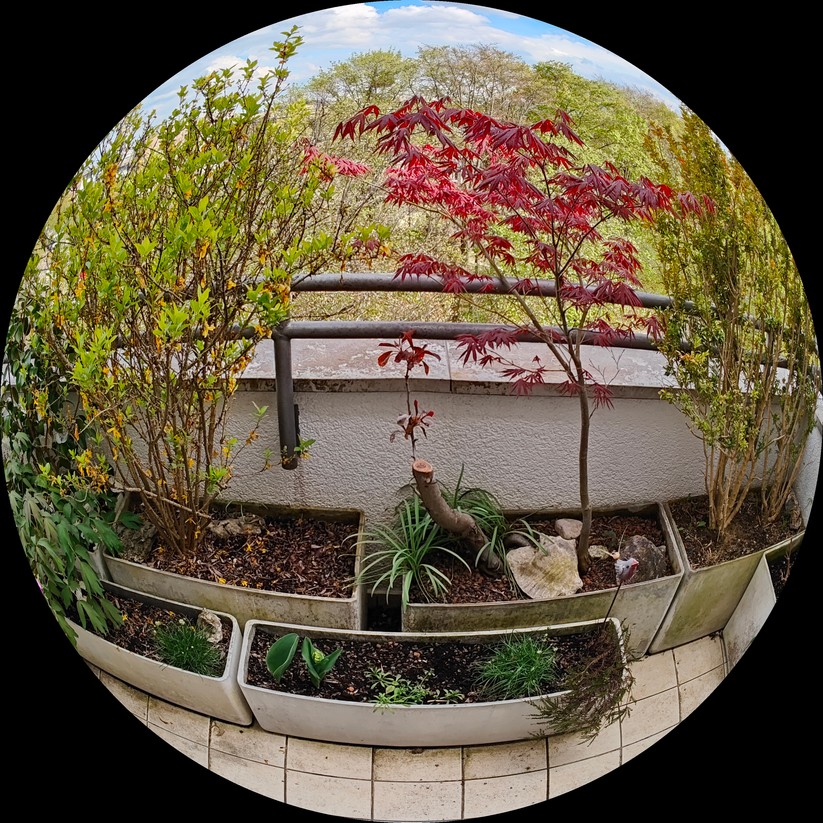 Realme GT 2 Pro - Originalaufnahmen