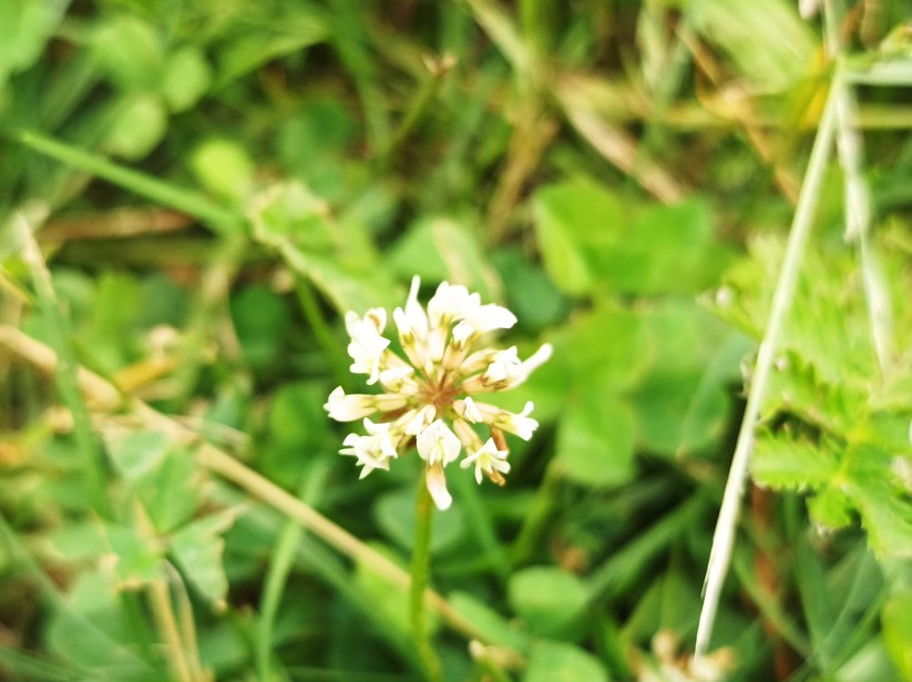 Xiaomi Redmi Note 10 5G