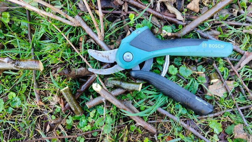 Bosch Easyprune